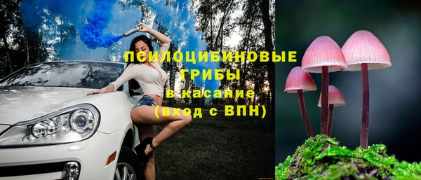 спайс Горняк