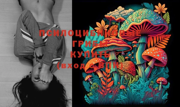 дживик Горно-Алтайск