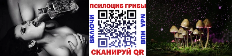 купить наркотик  Горячеводский  мега маркетплейс  Галлюциногенные грибы Magic Shrooms 